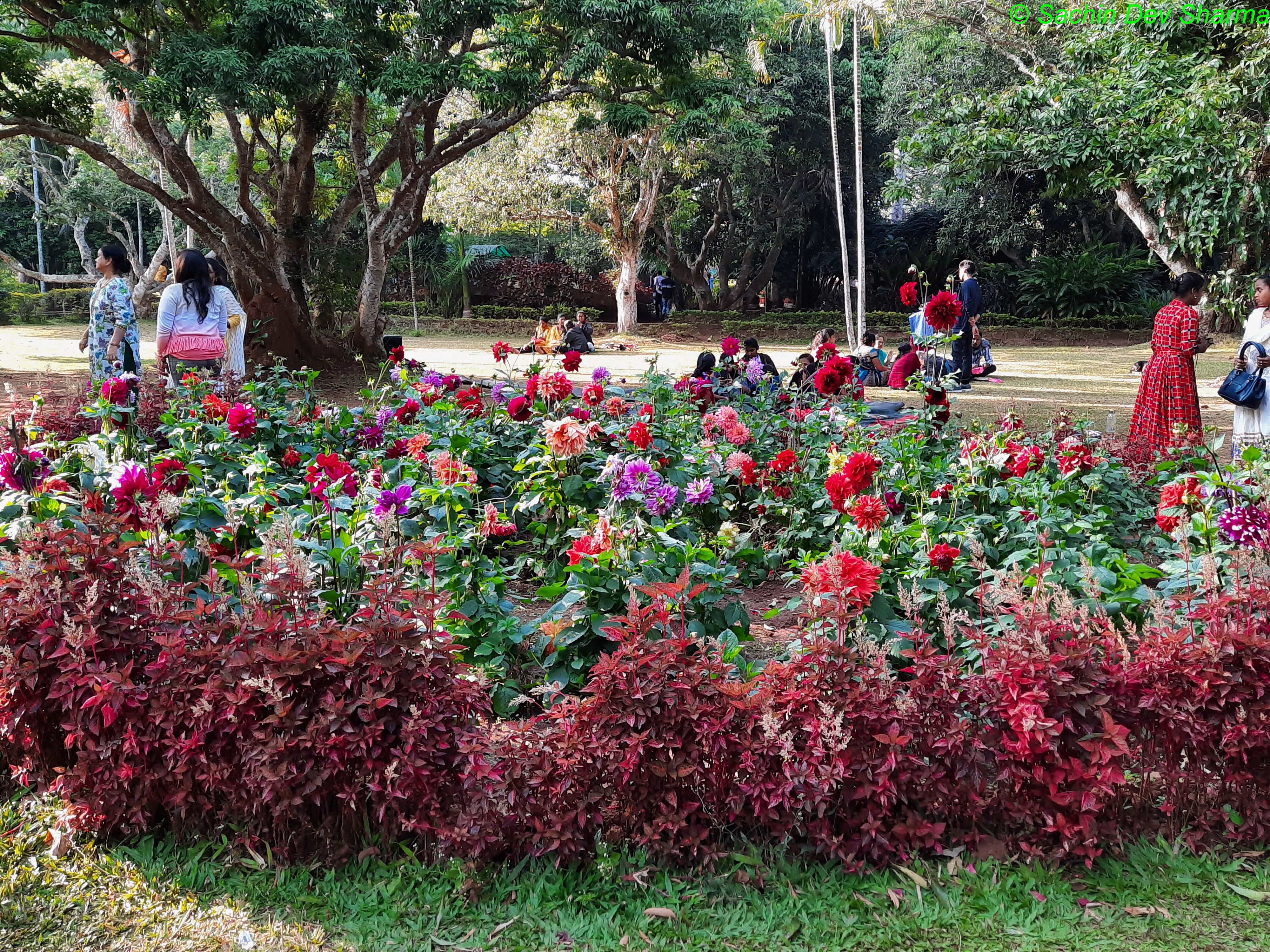 Padampuram Garden (2)